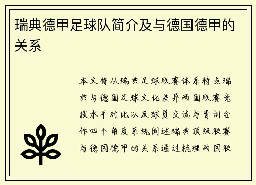 瑞典德甲足球队简介及与德国德甲的关系