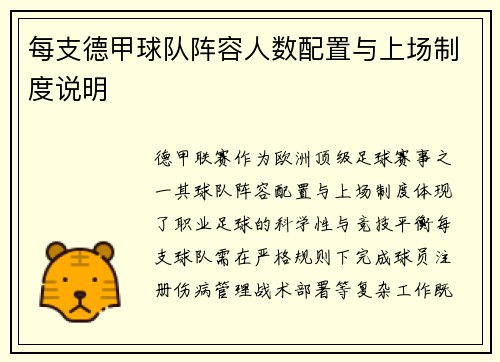 每支德甲球队阵容人数配置与上场制度说明